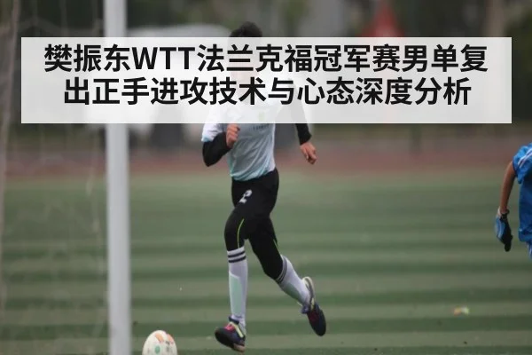 樊振东WTT法兰克福冠军赛男单复出正手进攻技术与心态深度分析